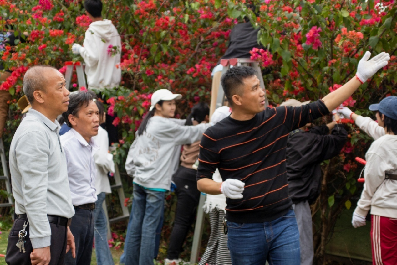 林业营会长（第一排右一）介绍四季红三角梅习性