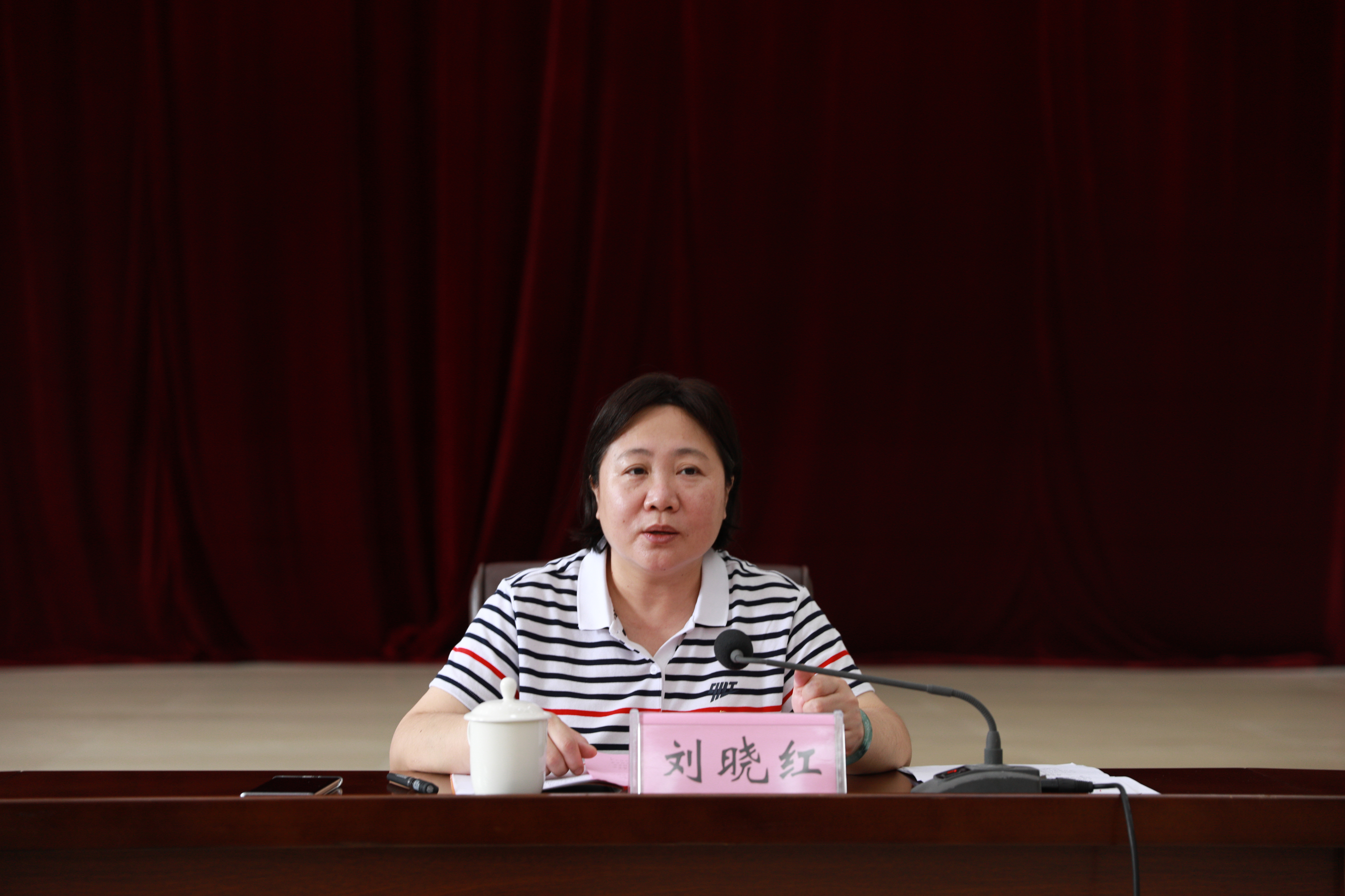 刘晓红书记讲话